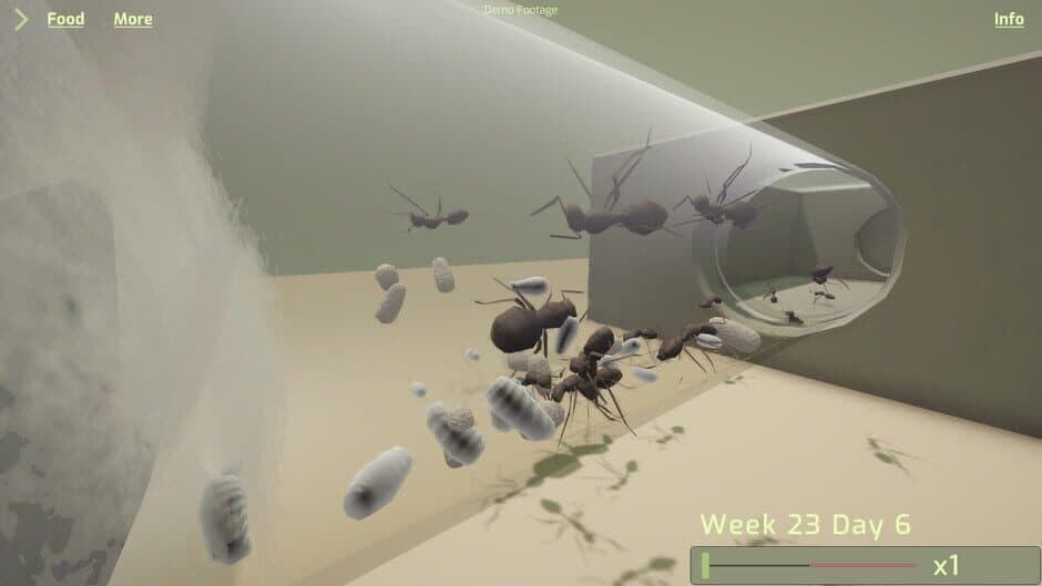 Скриншот 5 из Ant Keeping Simulator