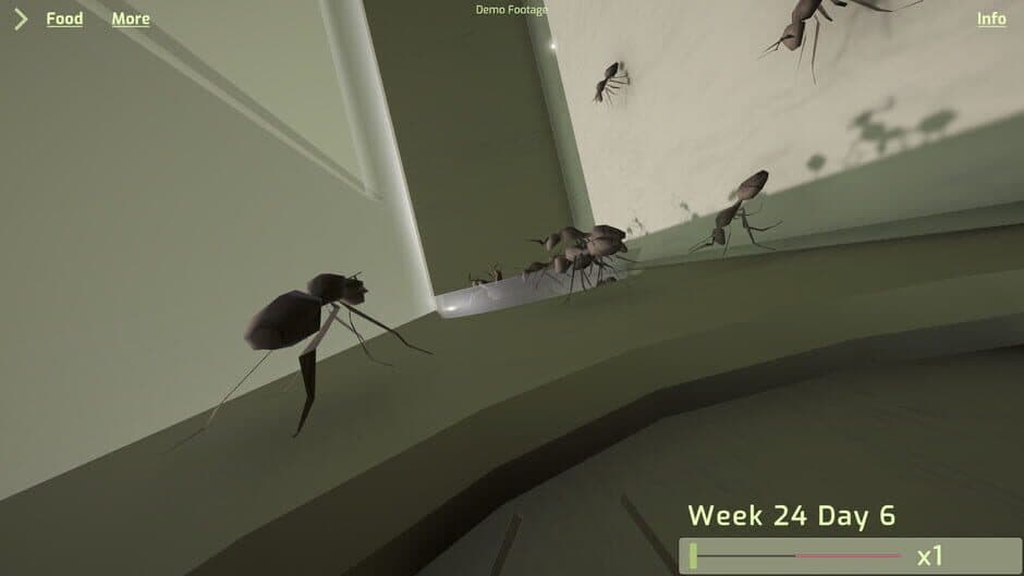 Скриншот 2 из Ant Keeping Simulator