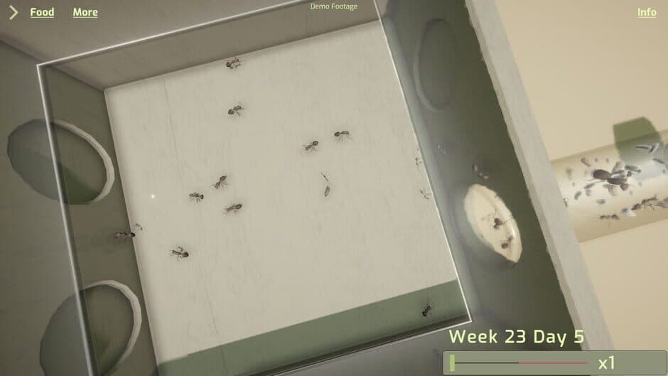 Скриншот 3 из Ant Keeping Simulator