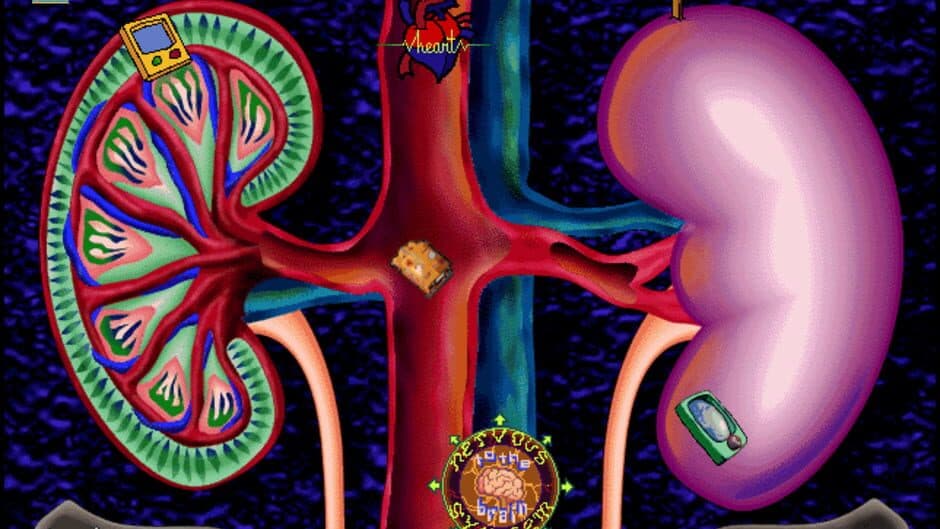 Скриншот 3 из The Magic School Bus Explores the Human Body