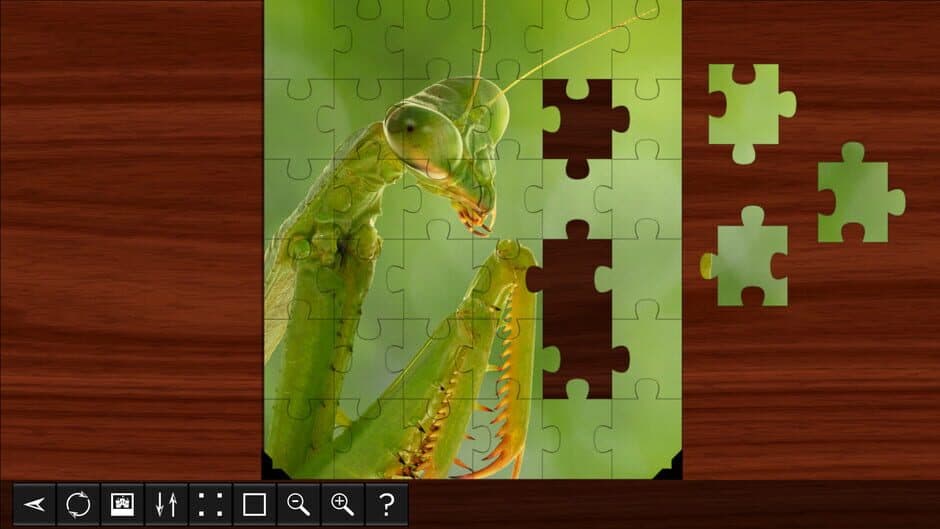 Скриншот 1 из Jigsaw Puzzle World: Insects