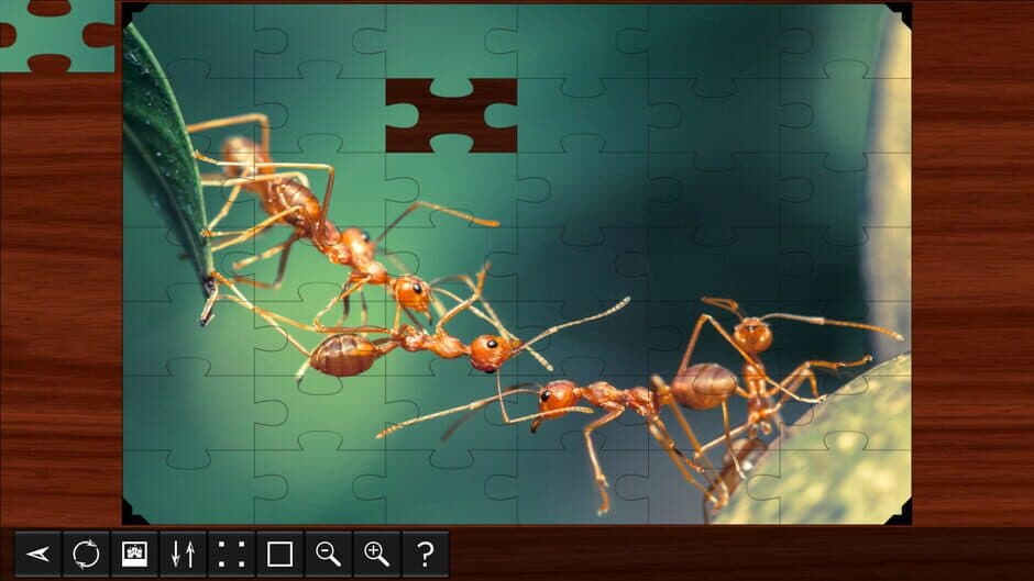 Скриншот 2 из Jigsaw Puzzle World: Insects