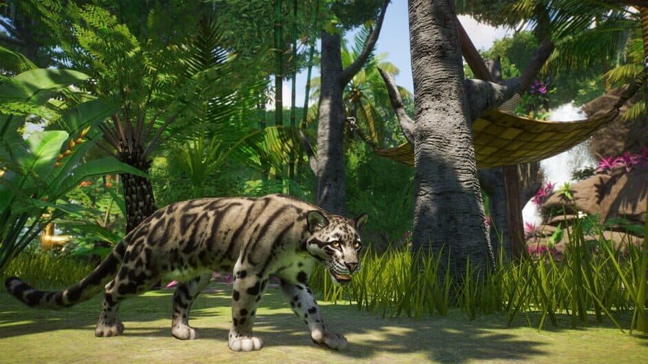 Скриншот 1 из Planet Zoo: Console Edition - Deluxe Edition