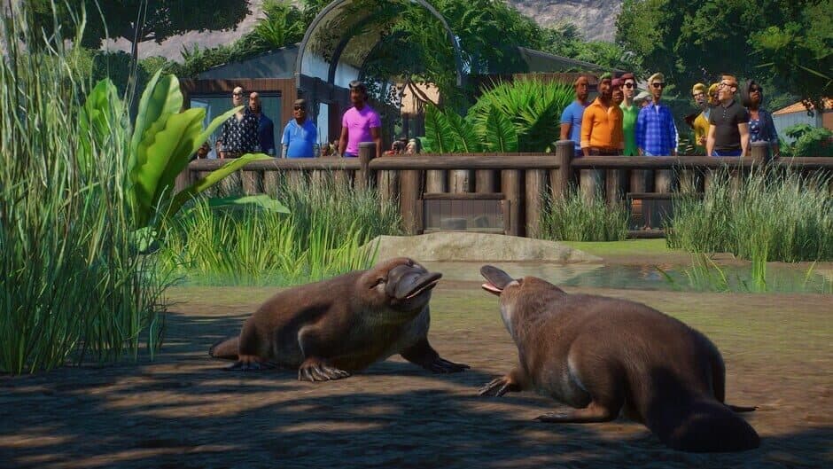 Скриншот 2 из Planet Zoo: Console Edition - Deluxe Edition