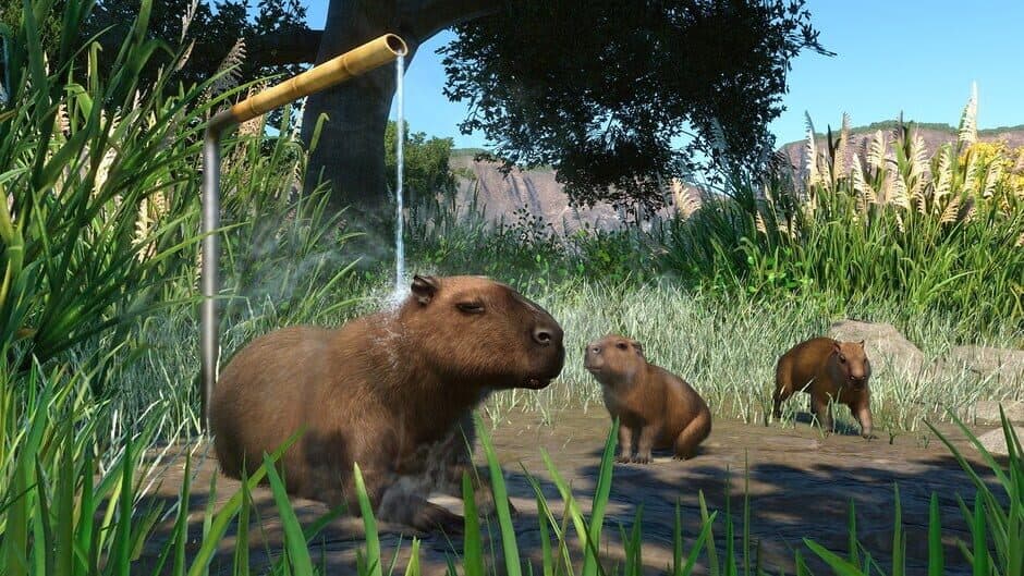 Скриншот 9 из Planet Zoo: Console Edition - Deluxe Edition