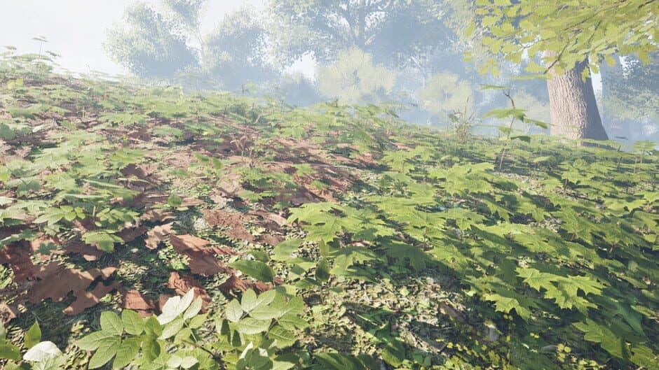 Скриншот 5 из Herbal Hunter