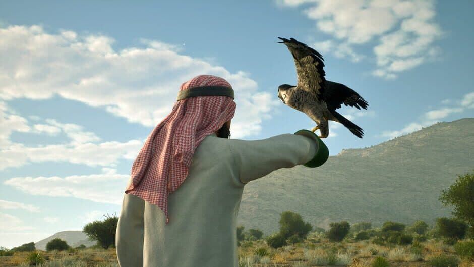 Скриншот 2 из Enter Falconry