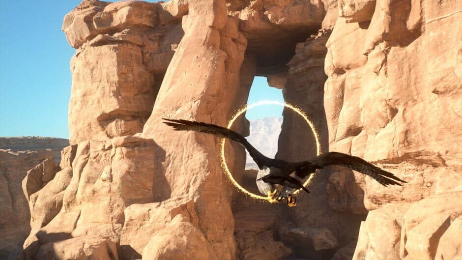 Скриншот 4 из Enter Falconry
