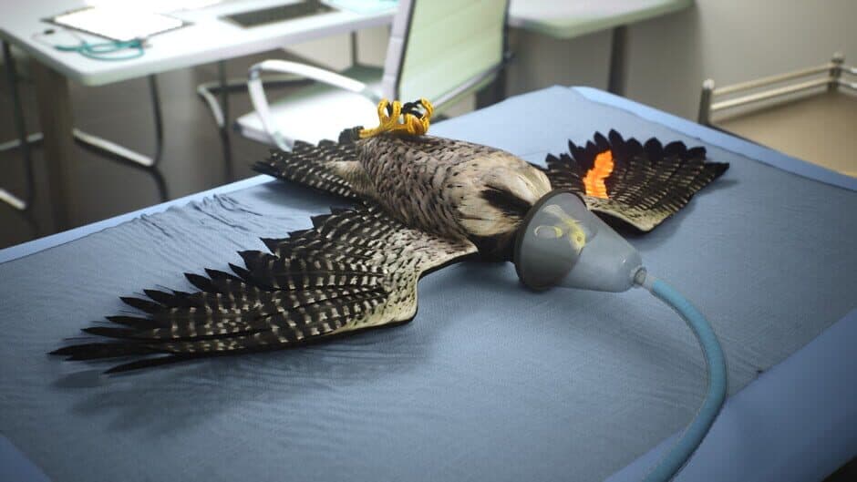 Скриншот 7 из Enter Falconry