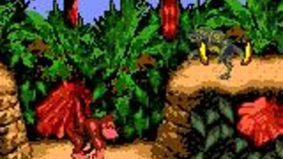 Скриншот 6 из Donkey Kong Country