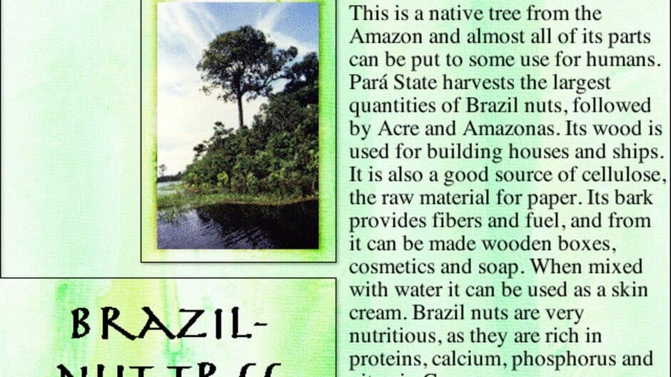 Скриншот 3 из Lost in the Amazon