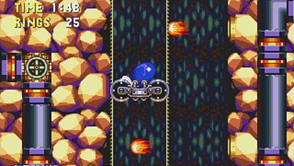 Скриншот 10 из Sonic 3: D.A. Garden Edition