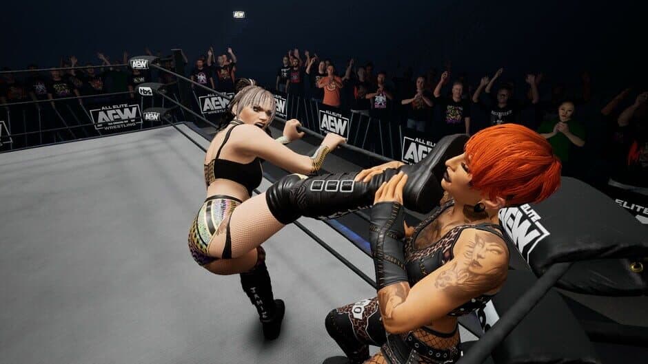 Скриншот 2 из All Elite Wrestling: Fight Forever - Hayter's Gunna Game