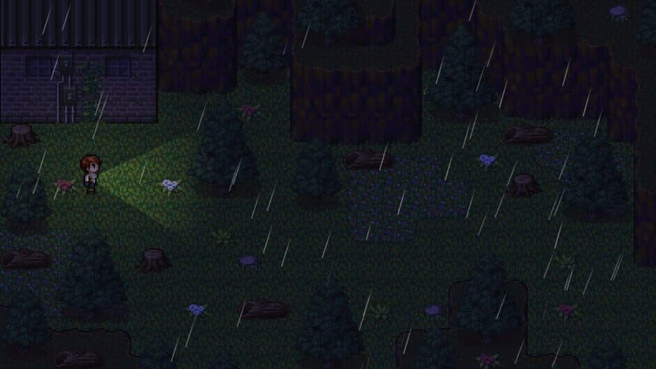 Скриншот 5 из The Clown's Forest: Fear of a Survivor