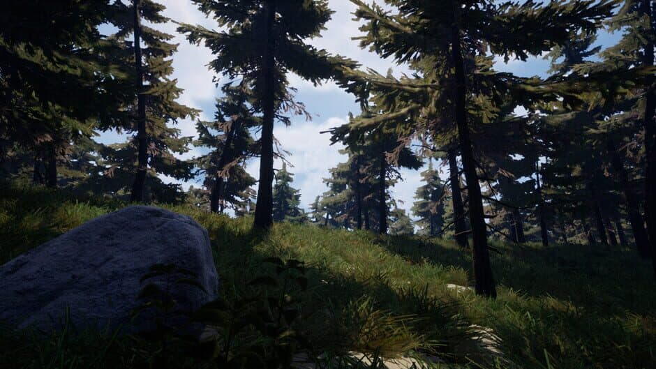 Скриншот 6 из Forest of Fear