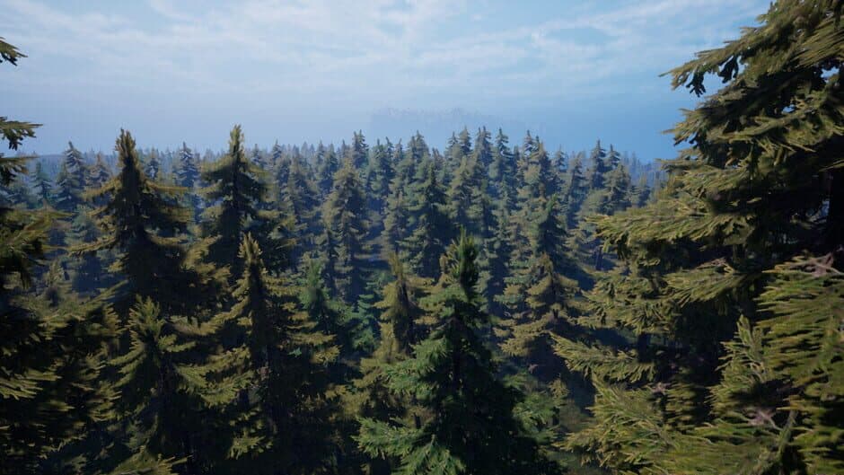 Скриншот 7 из Forest of Fear