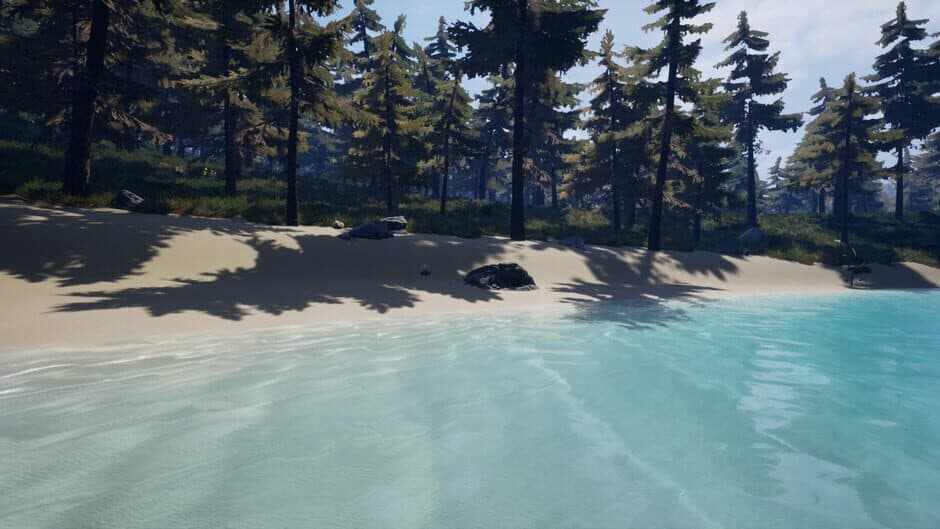 Скриншот 10 из Forest of Fear