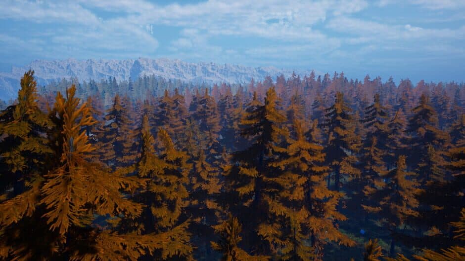 Скриншот 11 из Forest of Fear