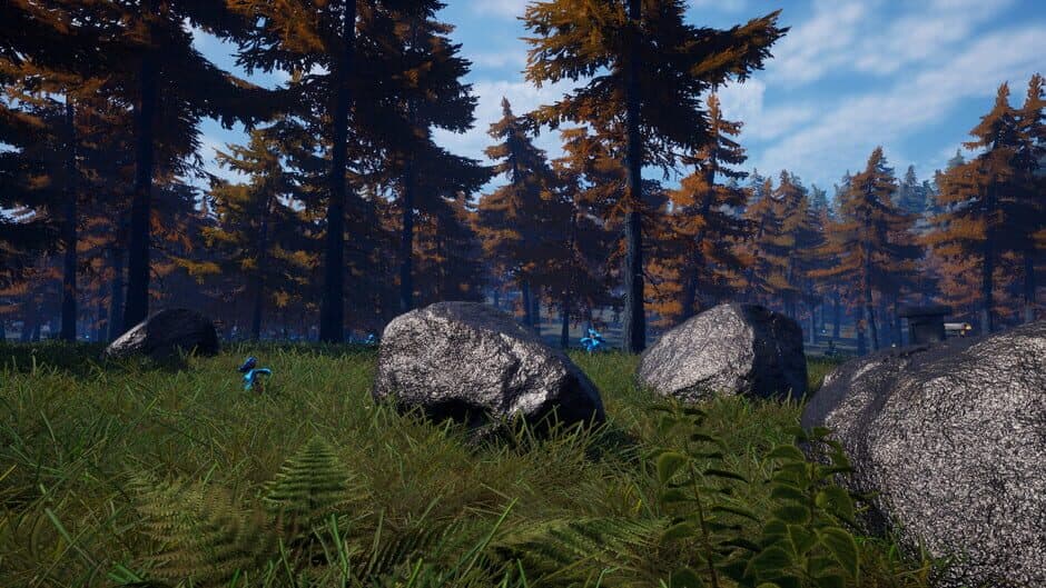 Скриншот 4 из Forest of Fear