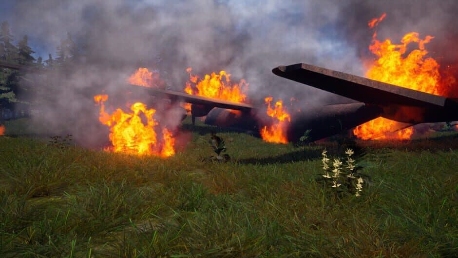 Скриншот 1 из Forest of Fear