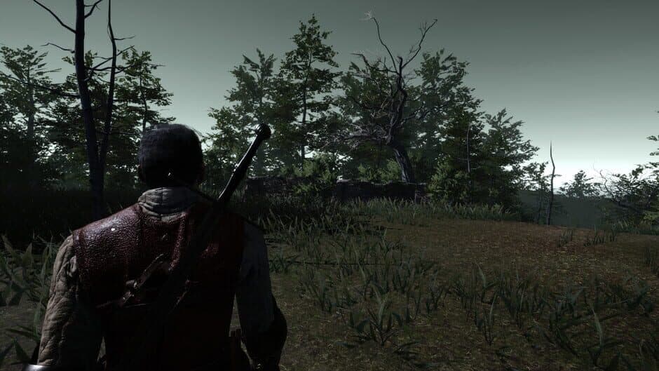 Скриншот 2 из The Witch's Redemption