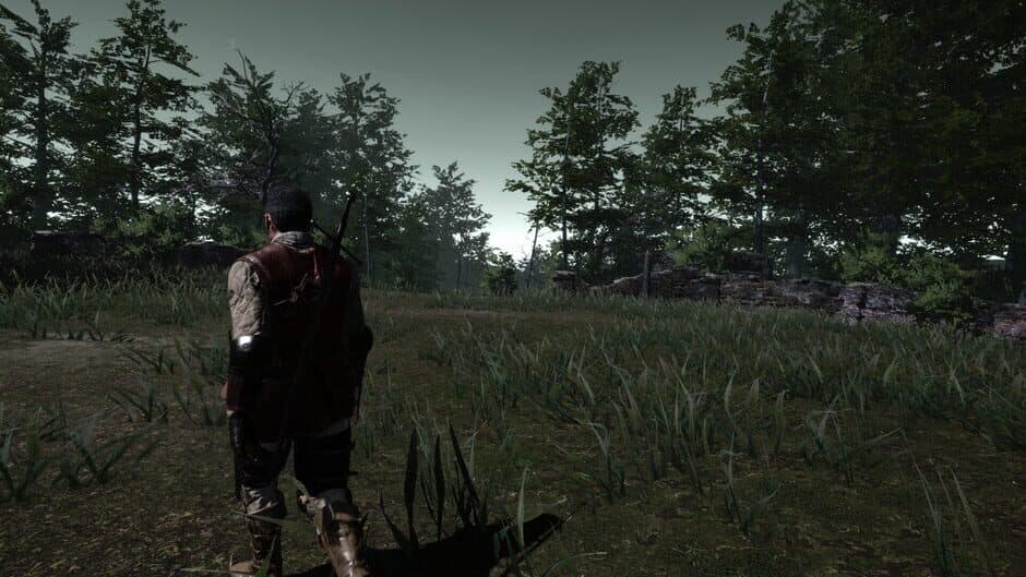 Скриншот 3 из The Witch's Redemption