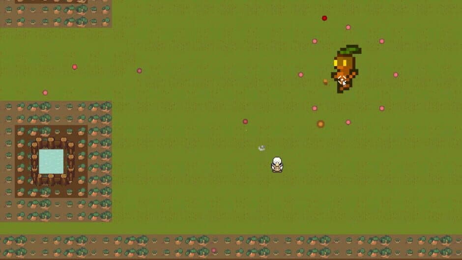 Скриншот 5 из Magic Farm