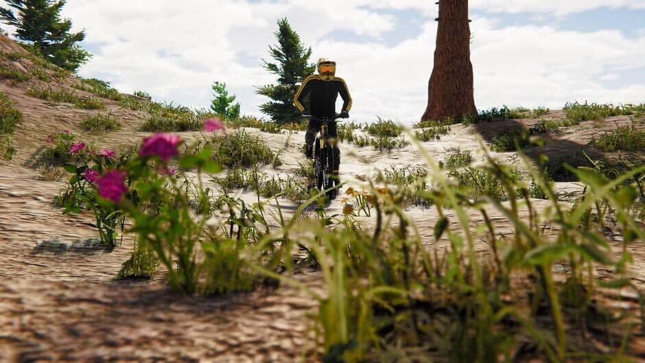 Скриншот 1 из BMX Wild Run