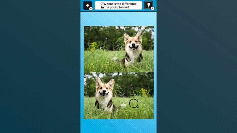 Скриншот 2 из Train Your Brain! Spot the Difference with Dog Photos