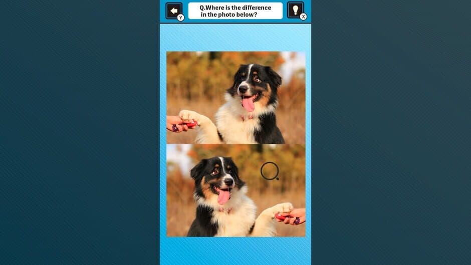 Скриншот 3 из Train Your Brain! Spot the Difference with Dog Photos