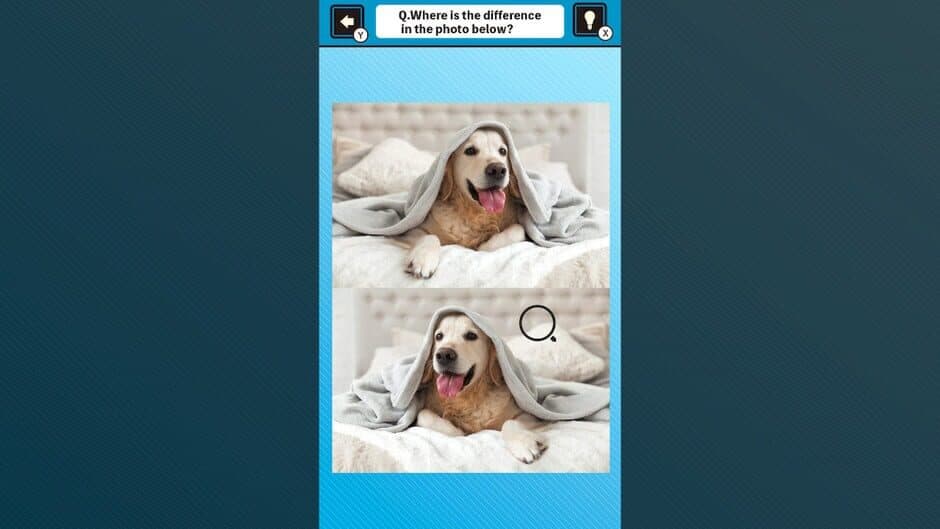 Скриншот 4 из Train Your Brain! Spot the Difference with Dog Photos