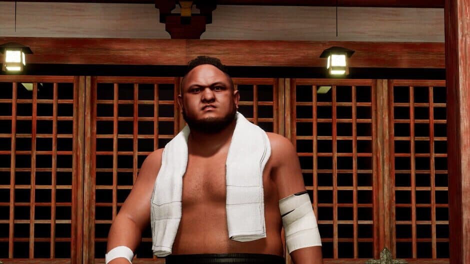 Скриншот 1 из All Elite Wrestling: Fight Forever - World War Joe