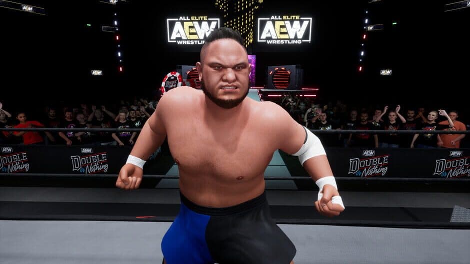 Скриншот 5 из All Elite Wrestling: Fight Forever - World War Joe
