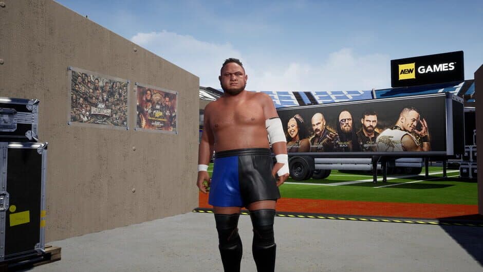 Скриншот 7 из All Elite Wrestling: Fight Forever - World War Joe