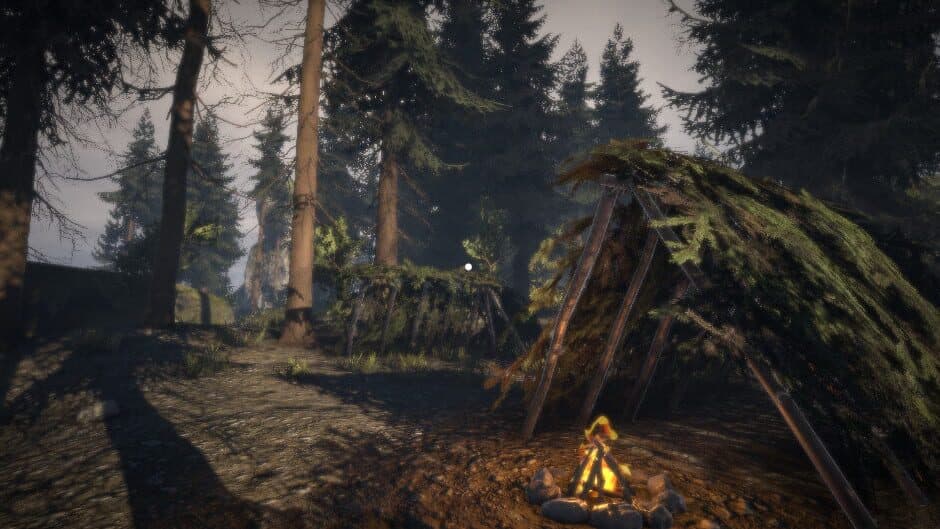 Скриншот 1 из Survival Prototype X