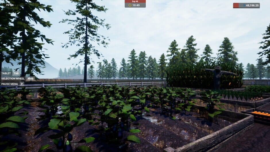 Скриншот 12 из Farmer's Shop Simulator