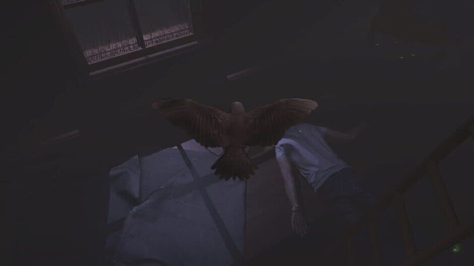 Скриншот 2 из Sparrow