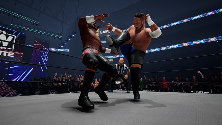 Скриншот 3 из All Elite Wrestling: Fight Forever - Season Pass 4