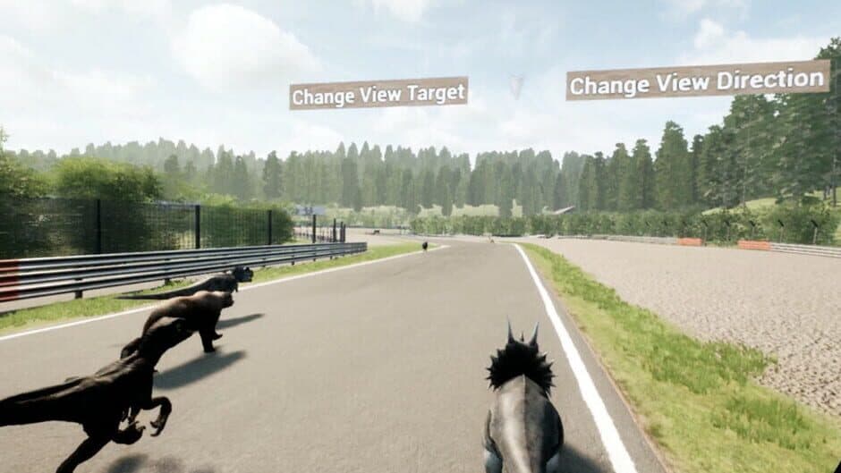 Скриншот 5 из Animal Race Run VR