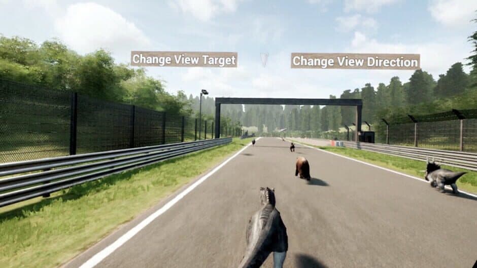 Скриншот 7 из Animal Race Run VR