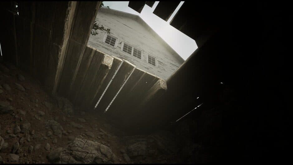 Скриншот 2 из Echoes of the Woods