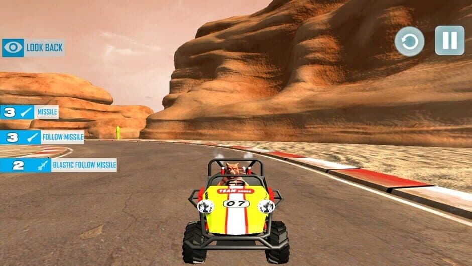 Скриншот 1 из Karting with Animals