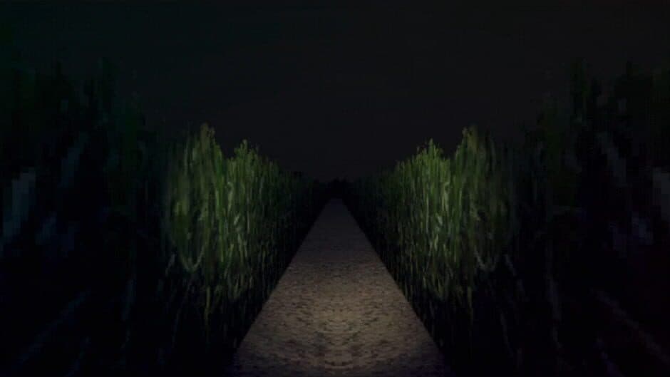 Скриншот 3 из The Cornfield Road