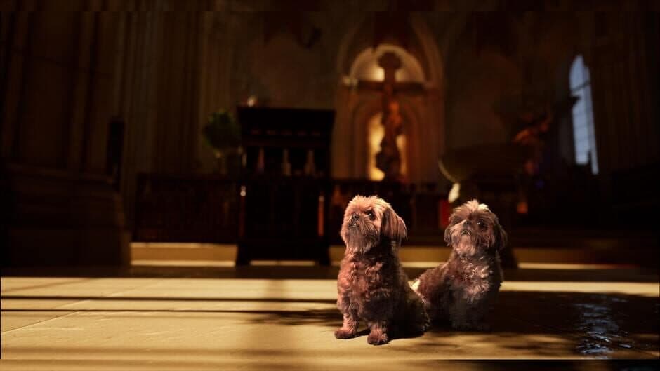 Скриншот 2 из Say a Prayer