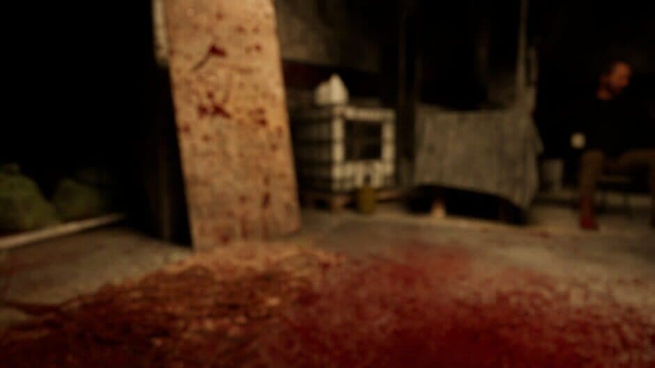 Скриншот 8 из The Shadows Within: Nightmare's Game