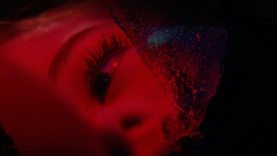 Скриншот 3 из Precognition