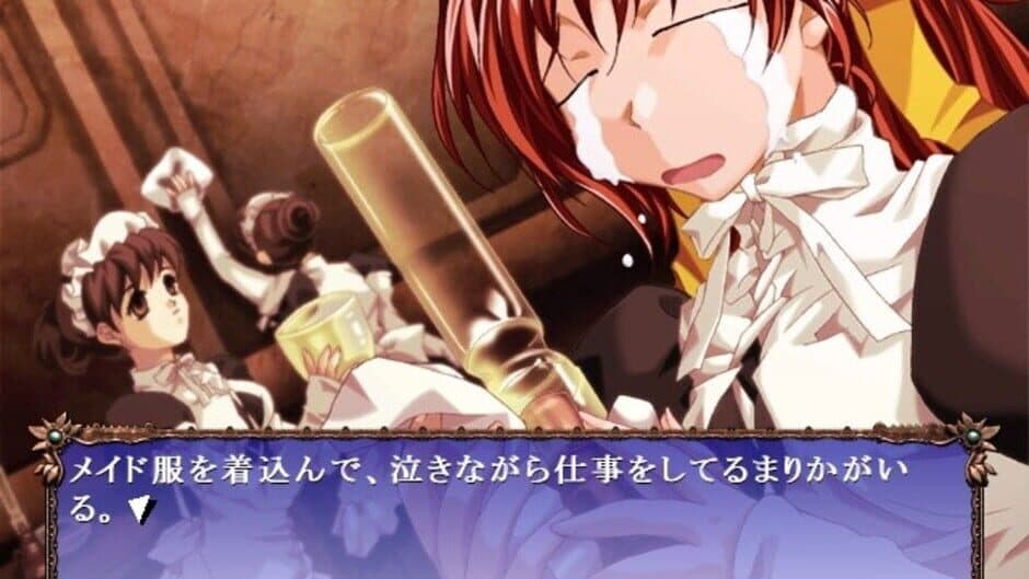 Скриншот 1 из Age Maniax: Isumi Yon Shimai Saigo no Hi