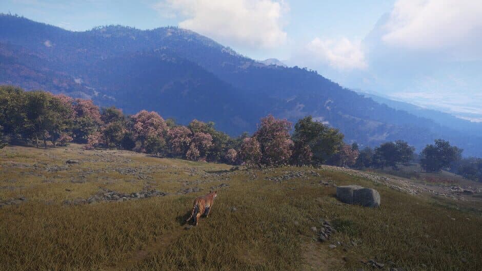 Скриншот 4 из TheHunter: Call of the Wild - Sundarpatan Nepal Hunting Reserve