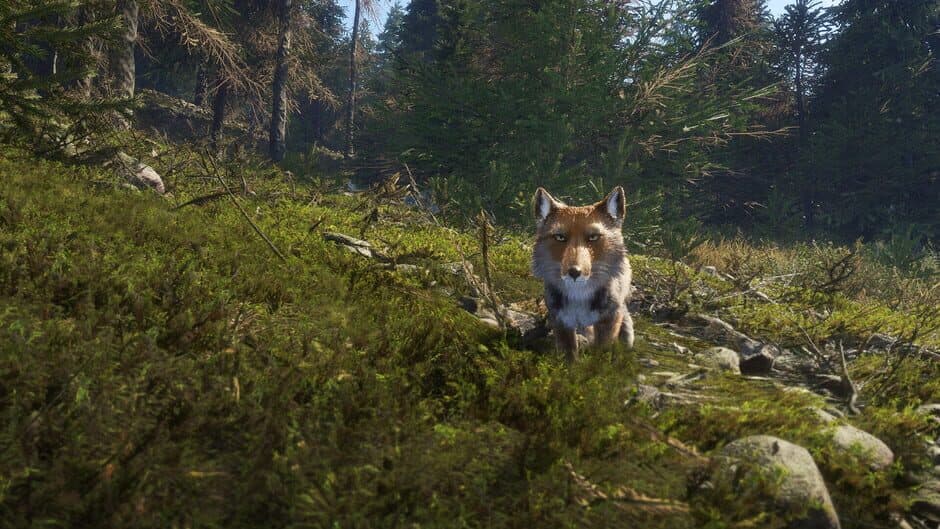Скриншот 5 из TheHunter: Call of the Wild - Sundarpatan Nepal Hunting Reserve