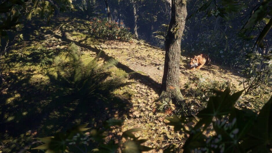 Скриншот 10 из TheHunter: Call of the Wild - Sundarpatan Nepal Hunting Reserve